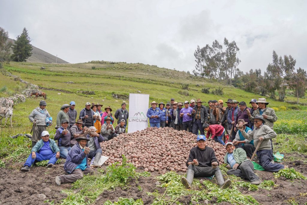 Impulsamos el cultivo de papa nativa en la provincia de Aija 13 483805744 1086551599942905 6786373786715541788 n