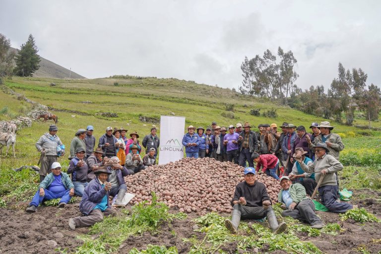 Impulsamos el cultivo de papa nativa en la provincia de Aija